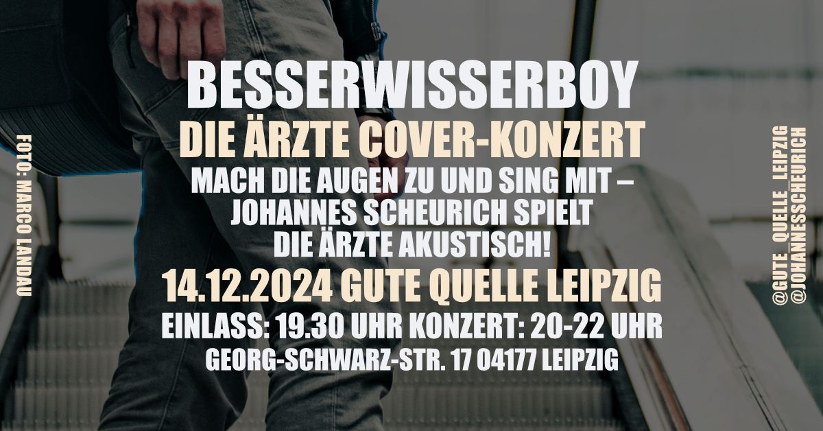 Besserwisserboy 14.12. Die \u00c4rzte Cover-Konzert