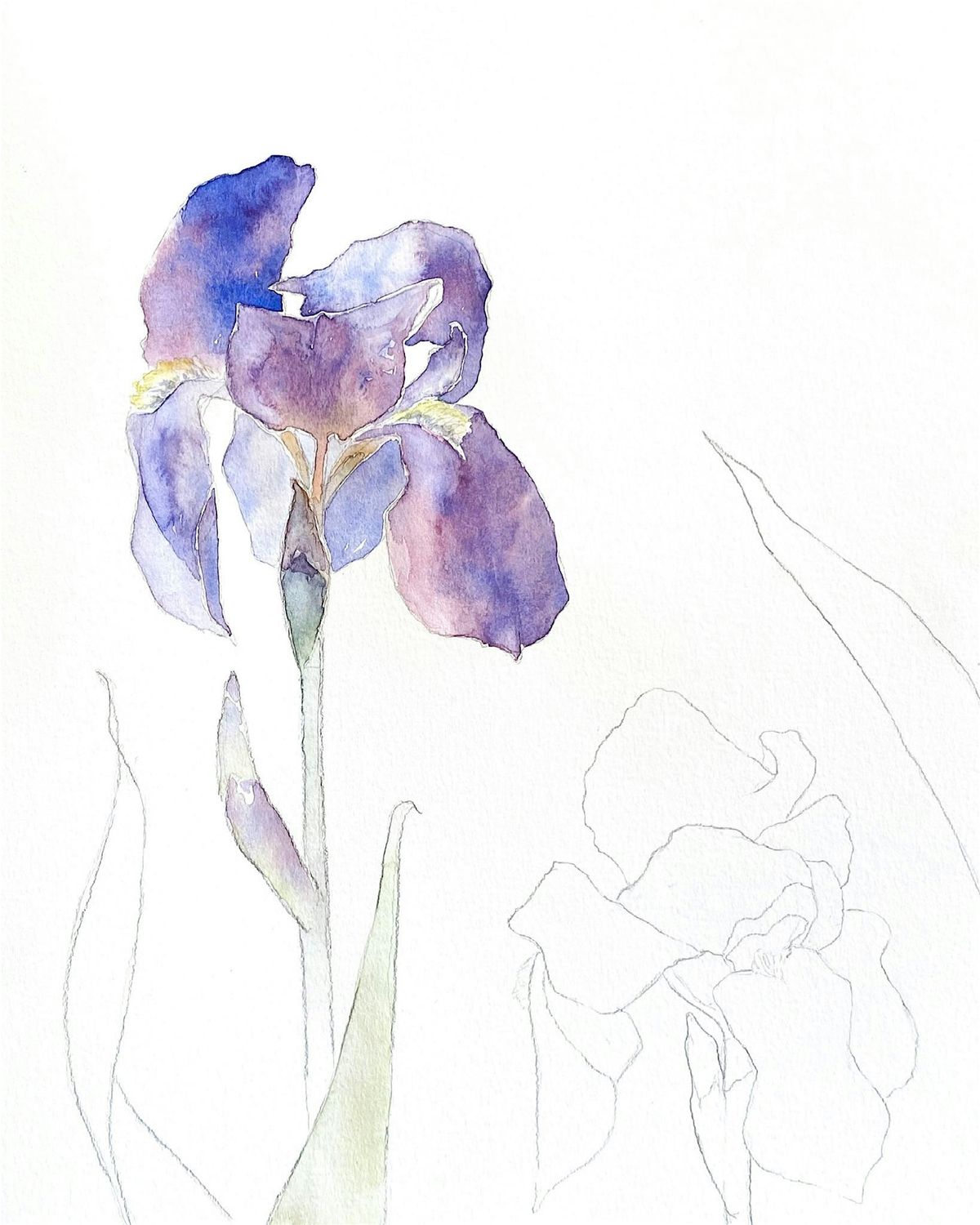 Introduction to Watercolor | Painting Florals