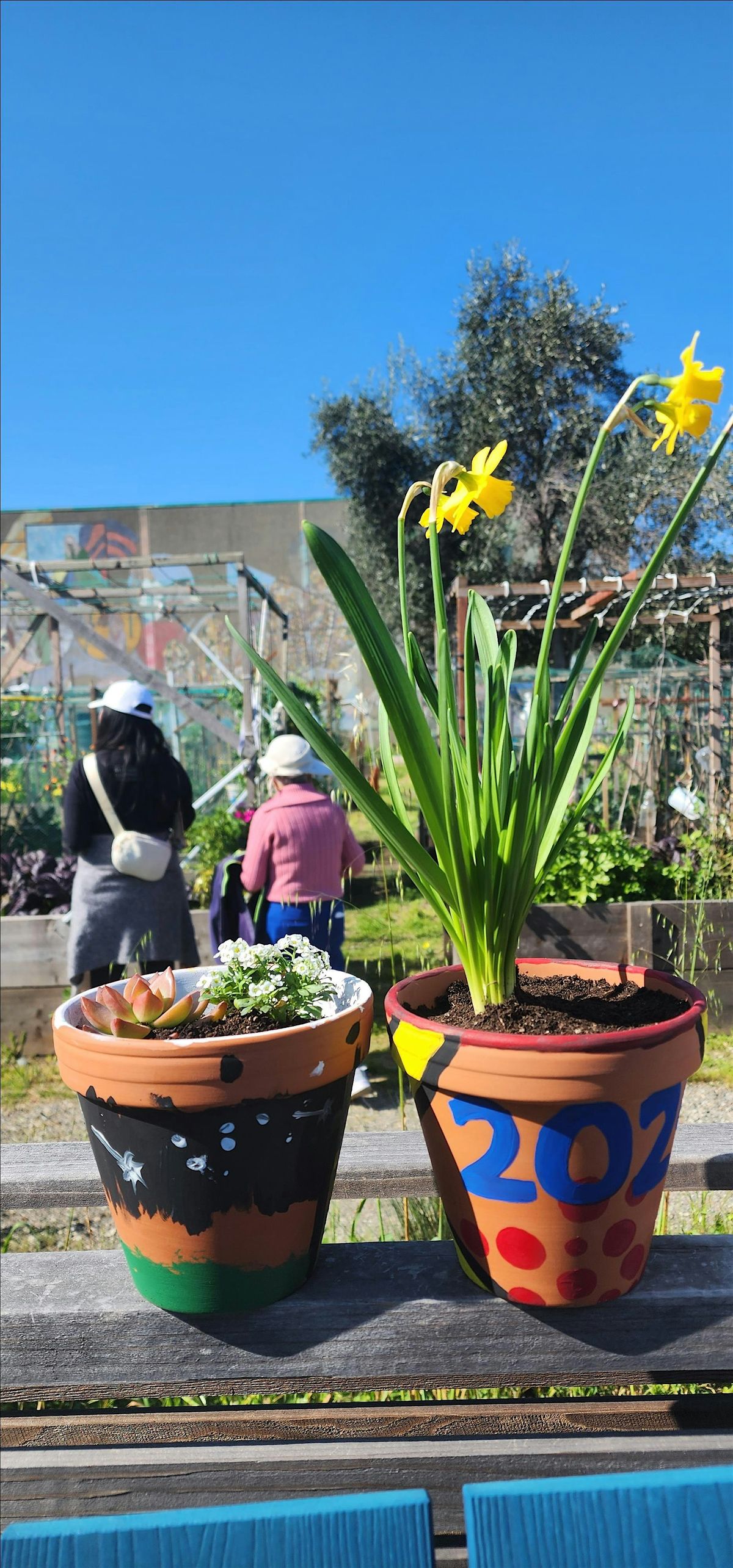 Paint Pots & Plants!