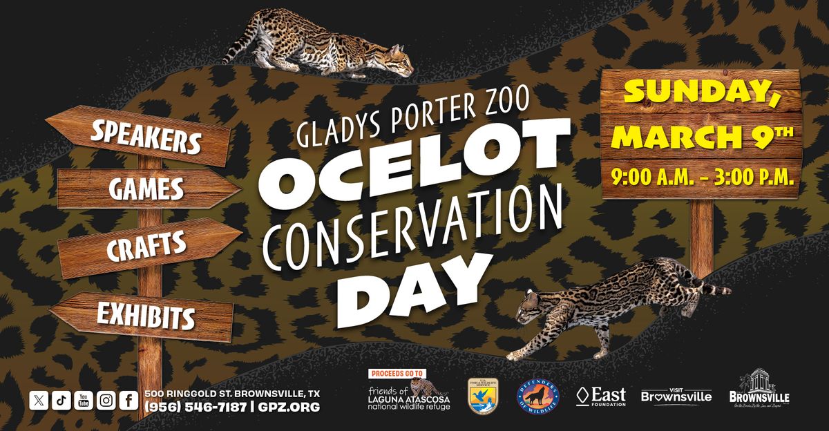 Ocelot Conservation Day 