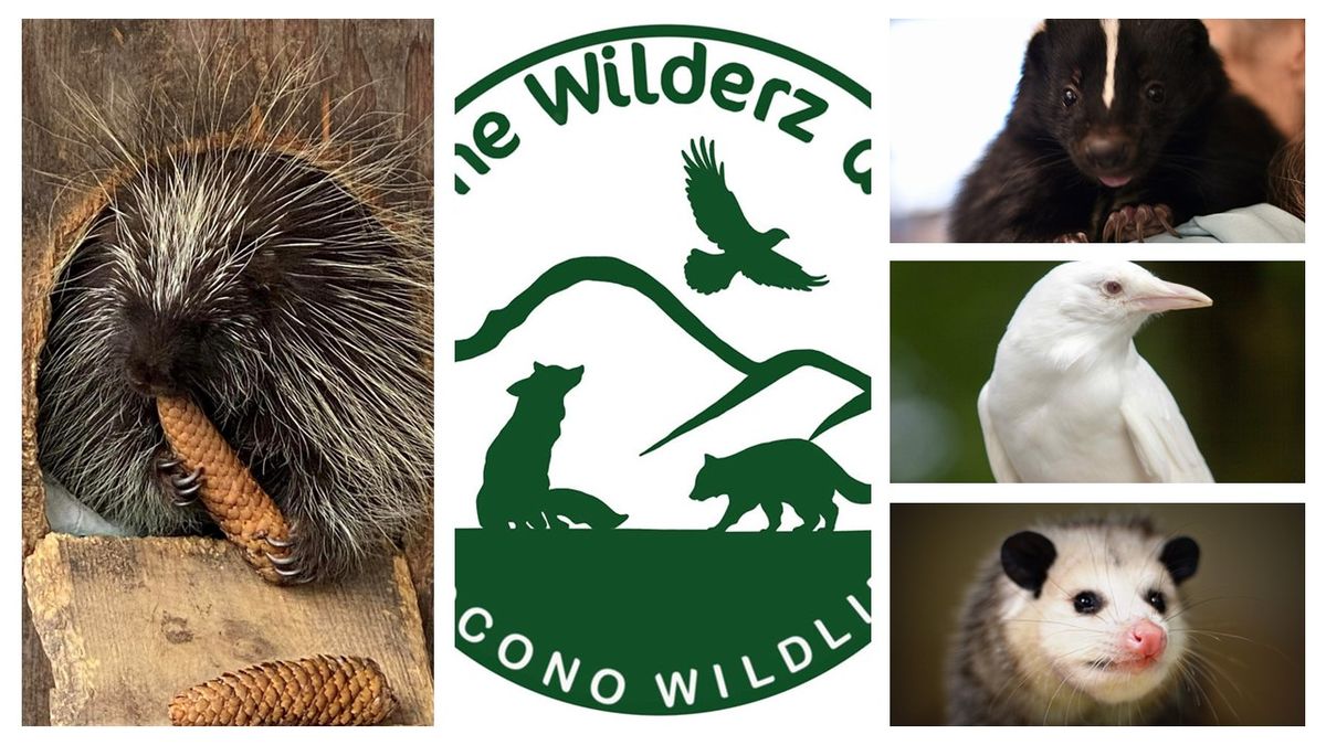 Pocono Wildlife Rehabilitation And Education Center Fundraiser Meet & Greet