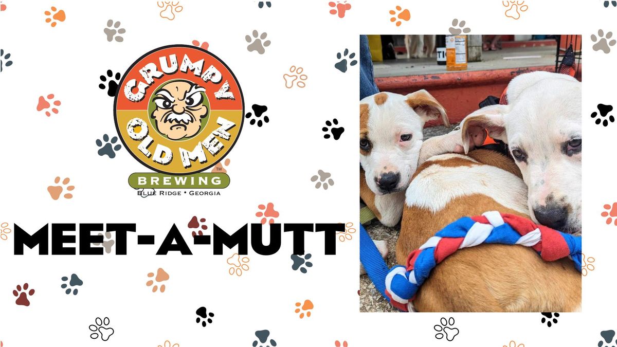 Meet A Mutt with Humane Society of Blue Ridge