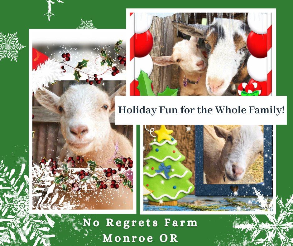 Holiday Original Goat Yoga Experience