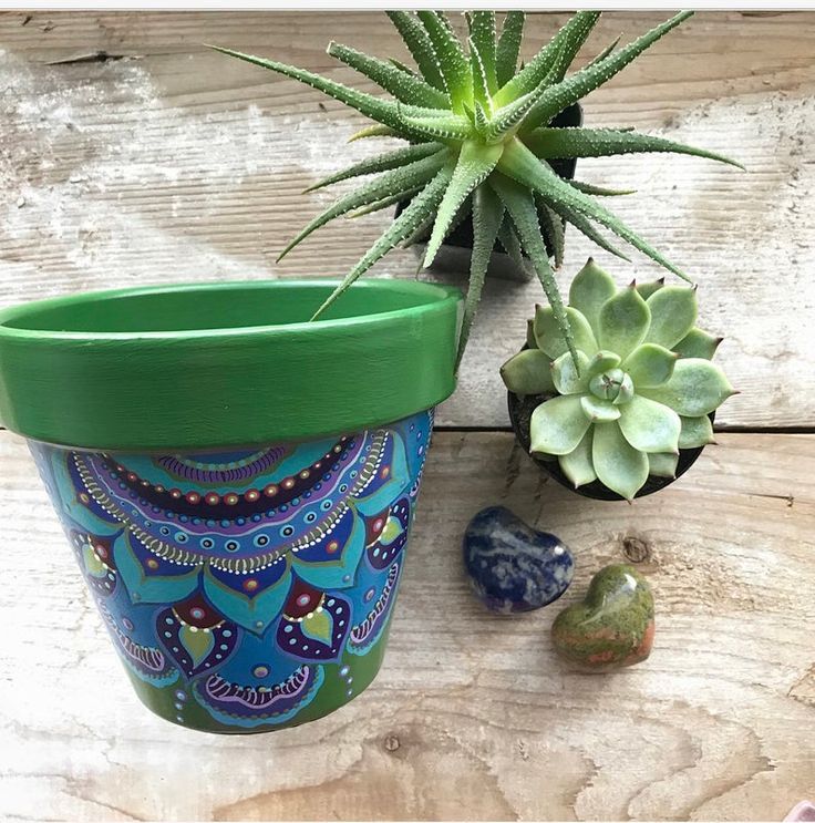 Paint and Pot Succulents 