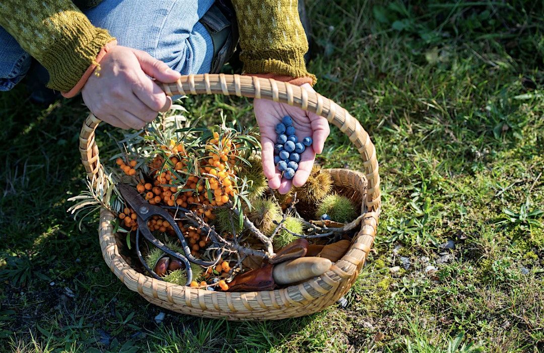 URBAN FORAGING LONG BEACH