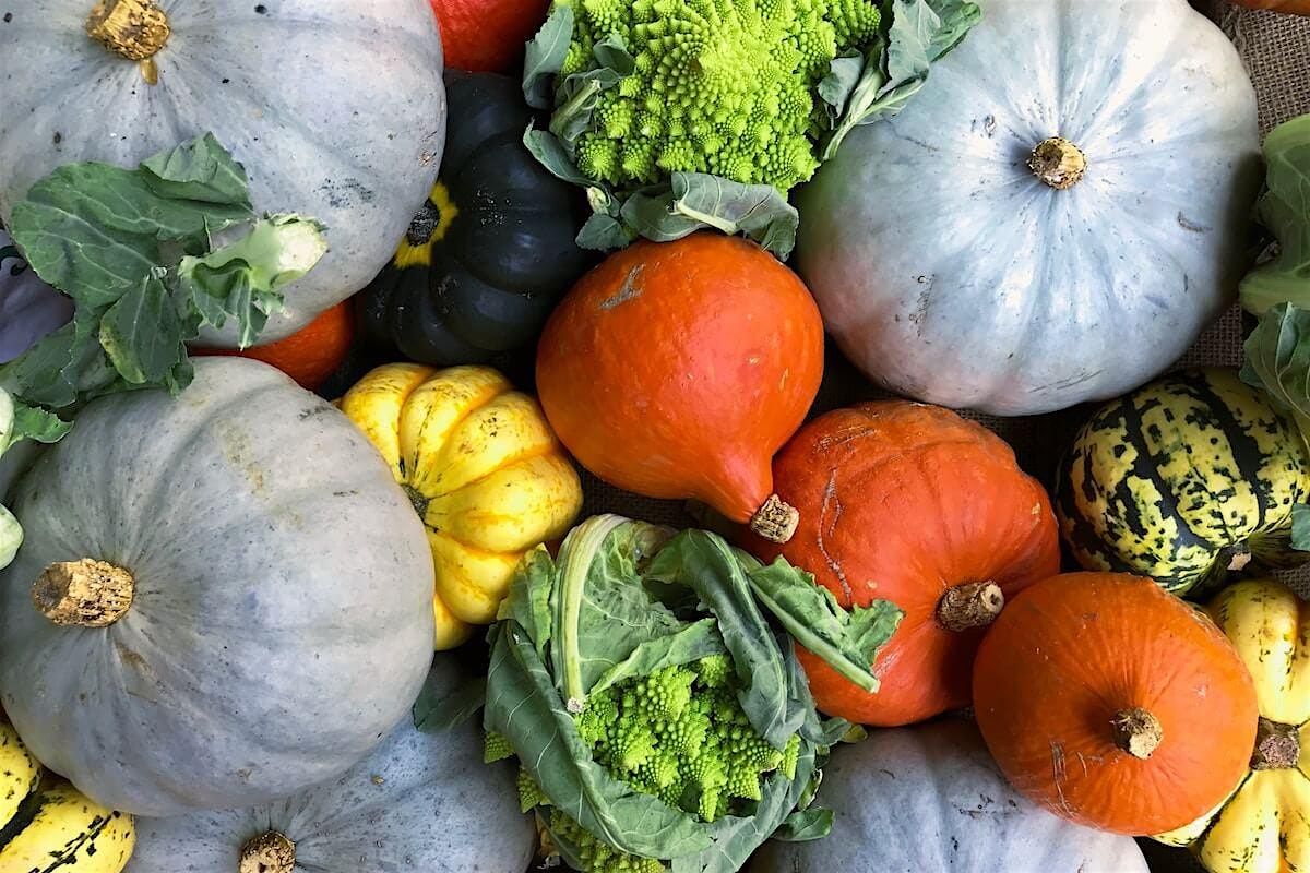 Nature\u2019s Kitchen: Cooking the Froebel Way