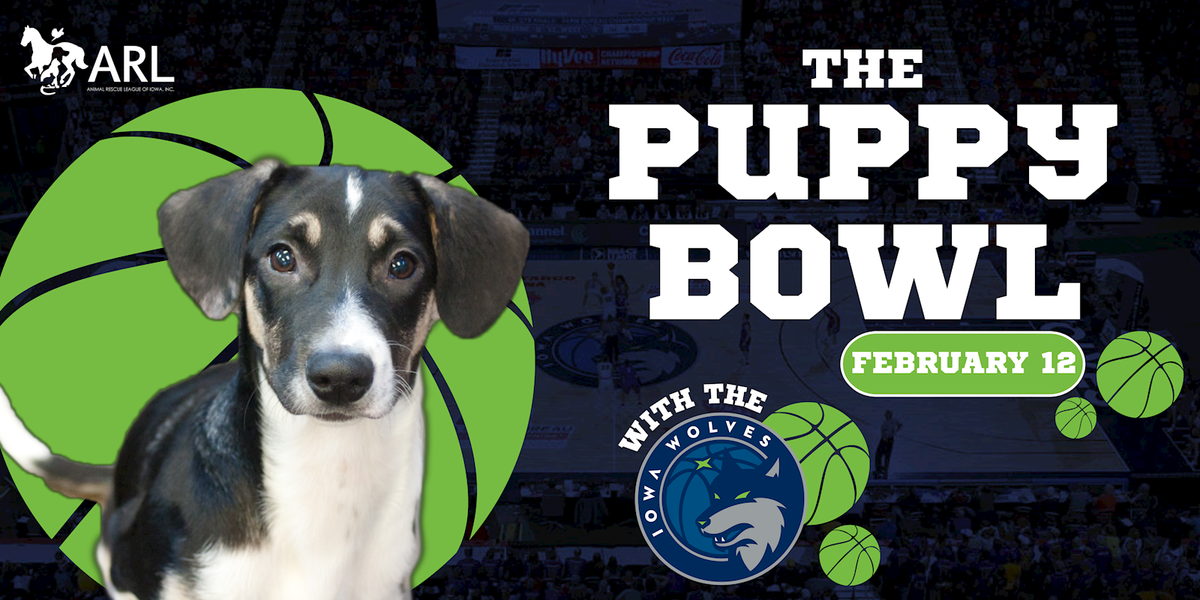 Iowa Wolves at Stockton Kings