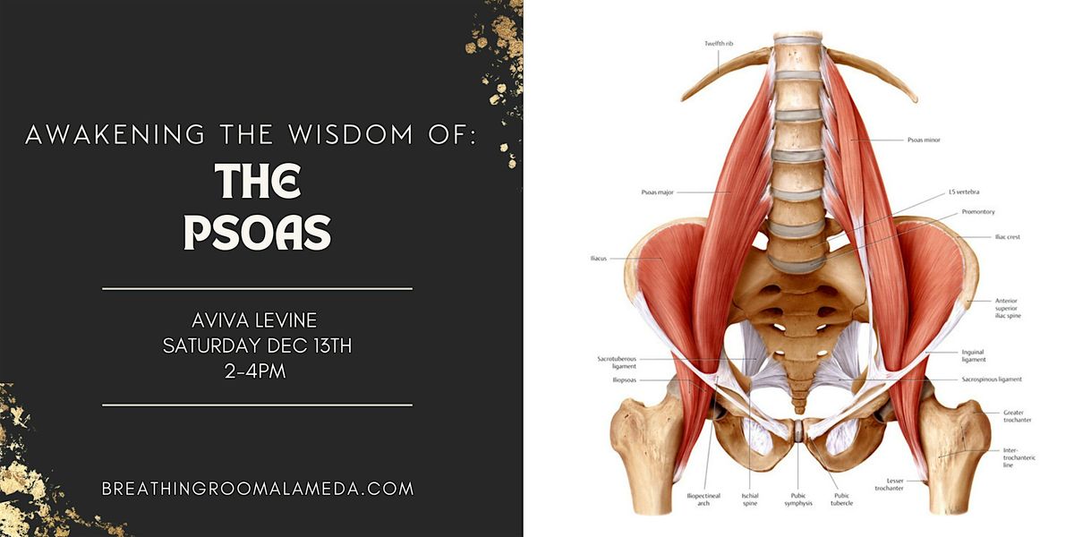 Awakening The Wisdom Of The Psoas