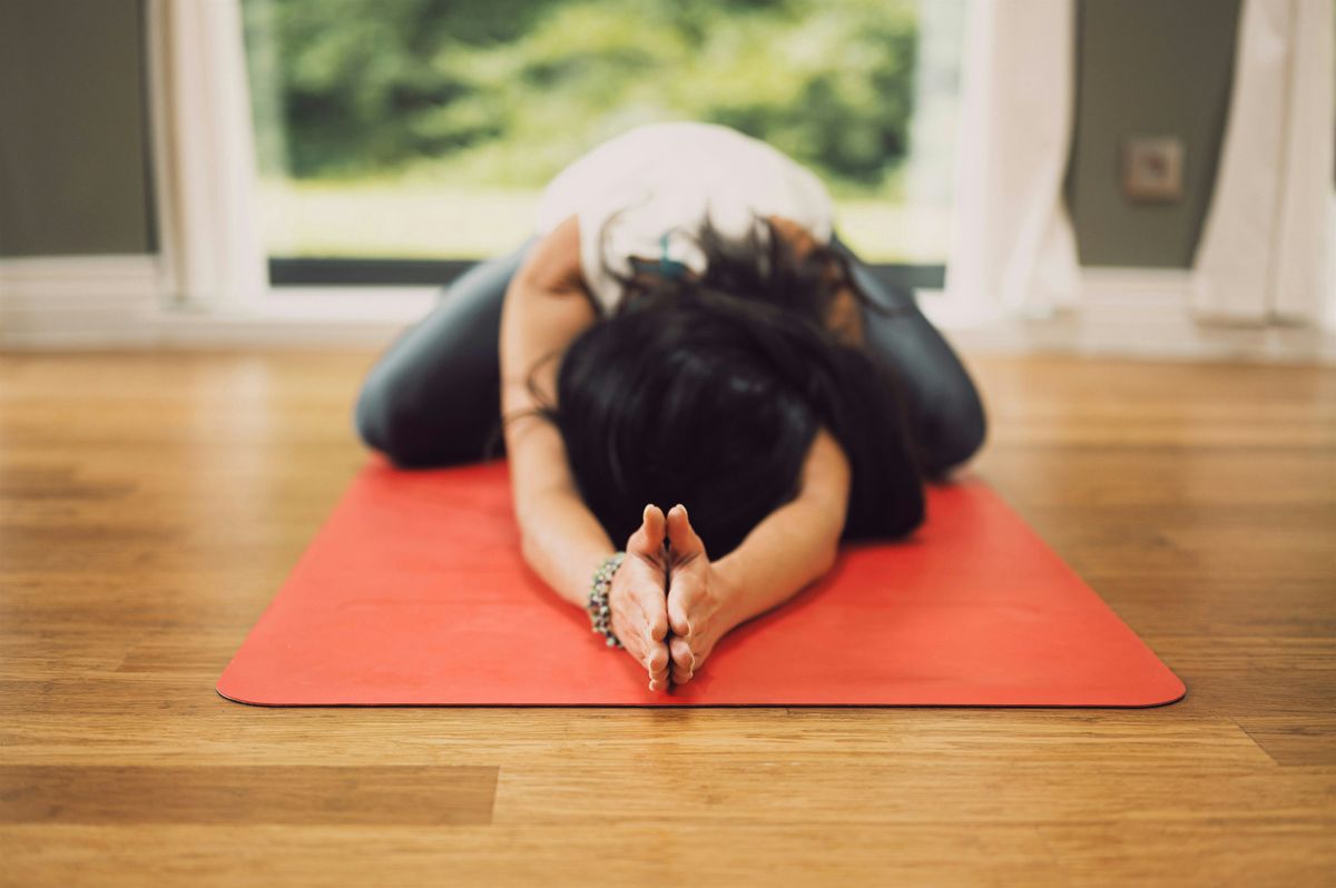 Pranic Awakening 200 Hour Yoga + Ayurveda Training