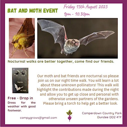 Bat and Moth Night