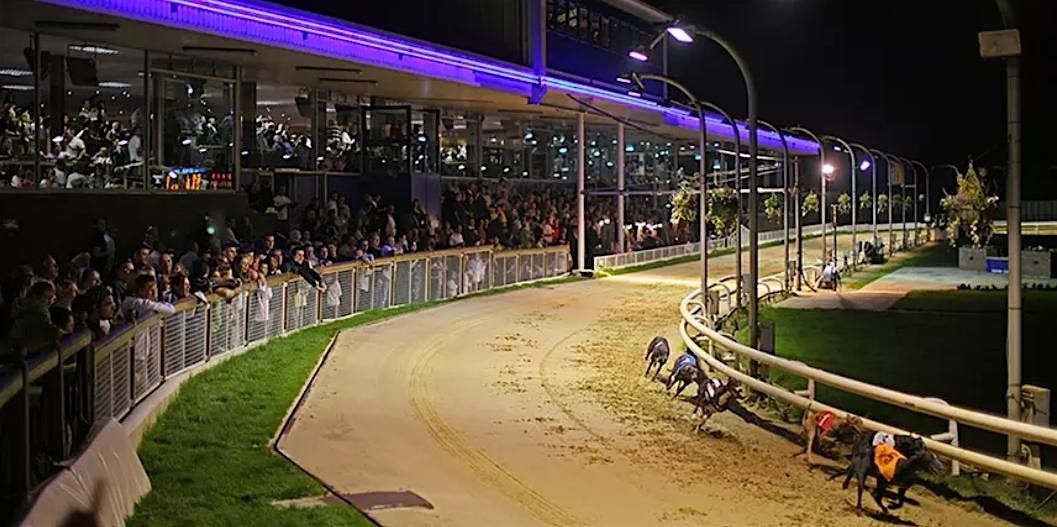 Camden & Haringey Reform UK: Summer Social at the Races