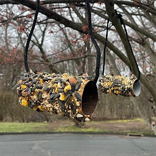 STEM Fun: Bird Feeders