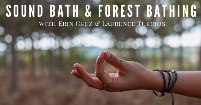 Sound Bath and Forest Bathing Mini-retreat