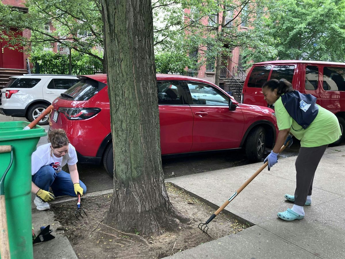 STC w\/ Lex & 3rd Block Association