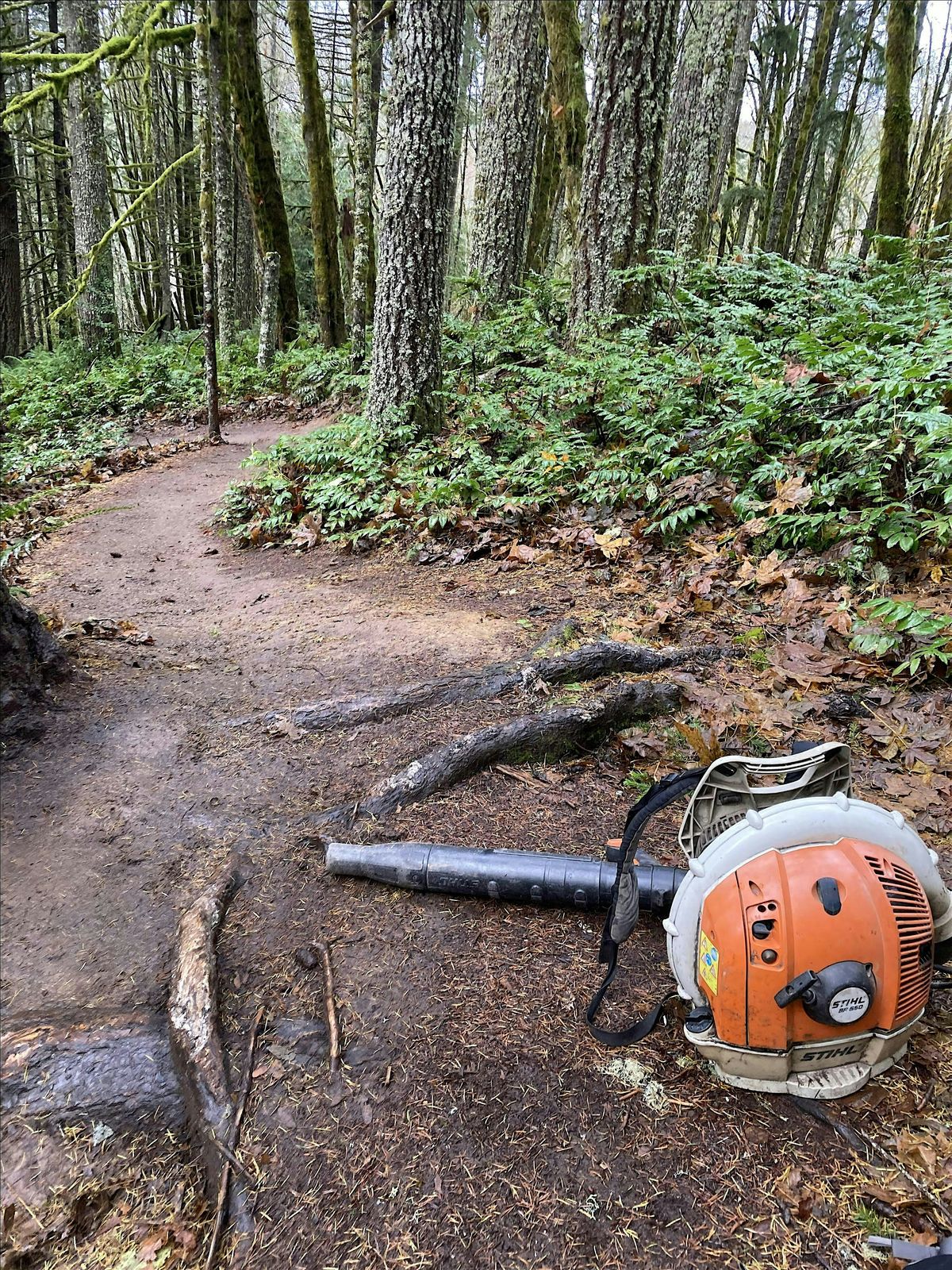 Brushback and Leaf Blowing of Existing Trails - Stub 1\/25