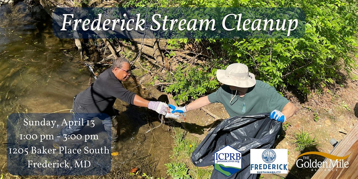 Stream Cleanup in Frederick