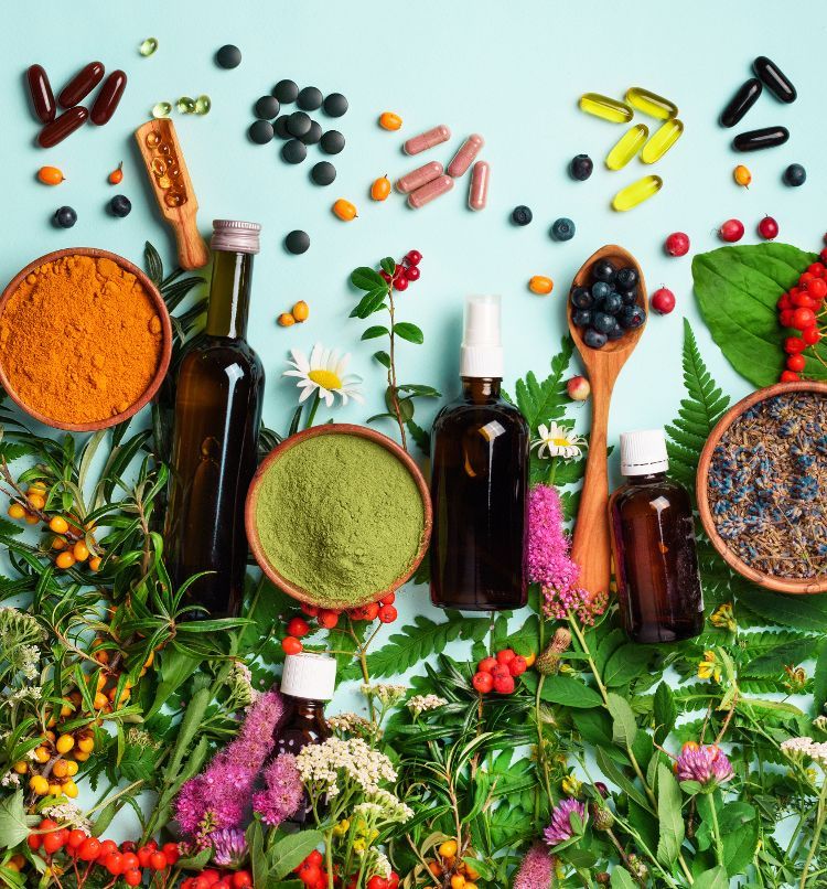 The Business of Herbalism Workshop Series