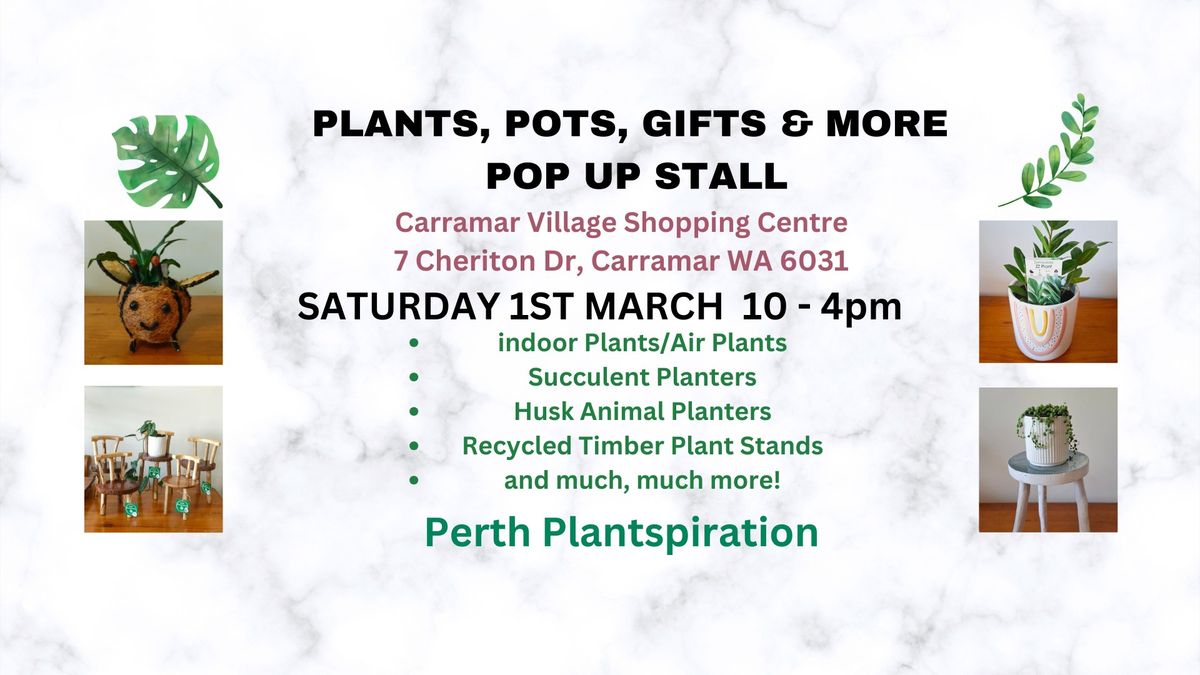 PLANTS, POTS, GIFTS & MORE POP UP STALL CARRAMAR VILLAGE