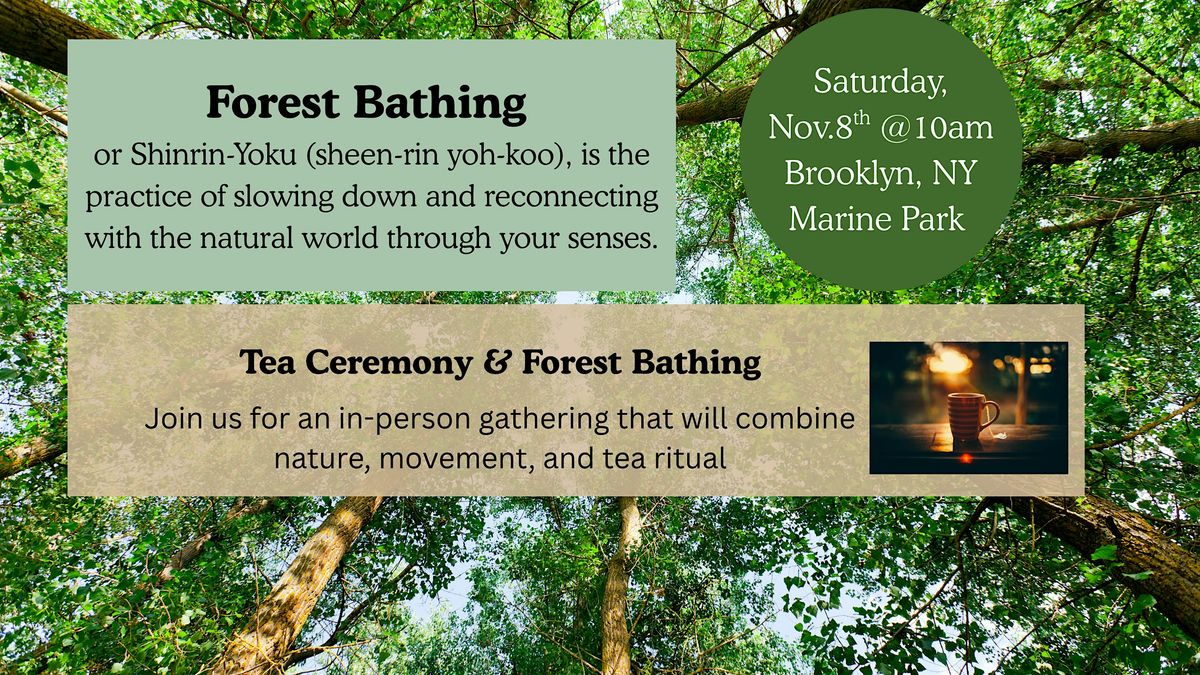 Nature Gathering: Tea Ceremony & Forest Bathing
