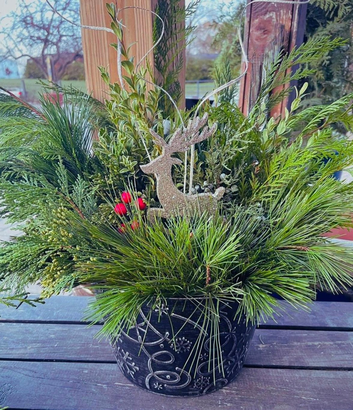 Winter Container Pot Workshop - Springfield 