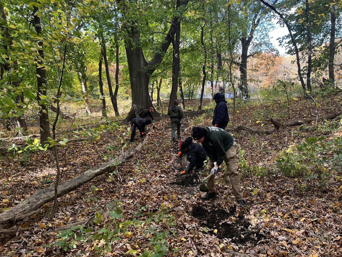 Forest Park Super Steward: Pathkeeper Training