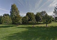 Seed Collecting Workshop at Gottfried Prairie