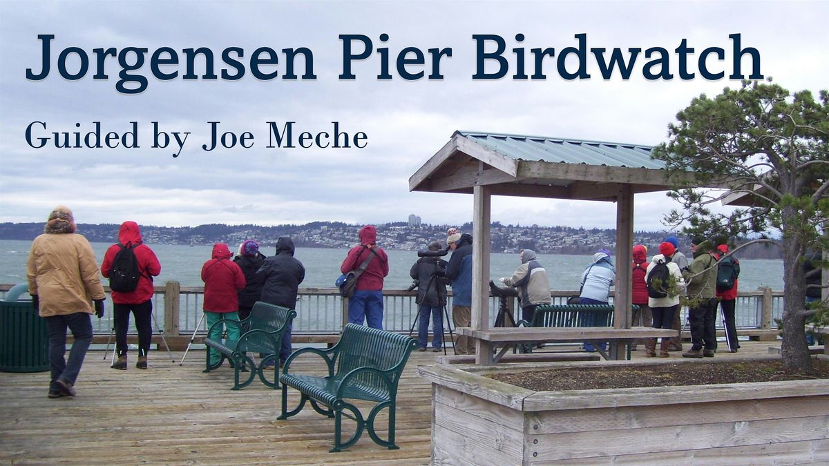 Jorgensen Pier Birdwatch