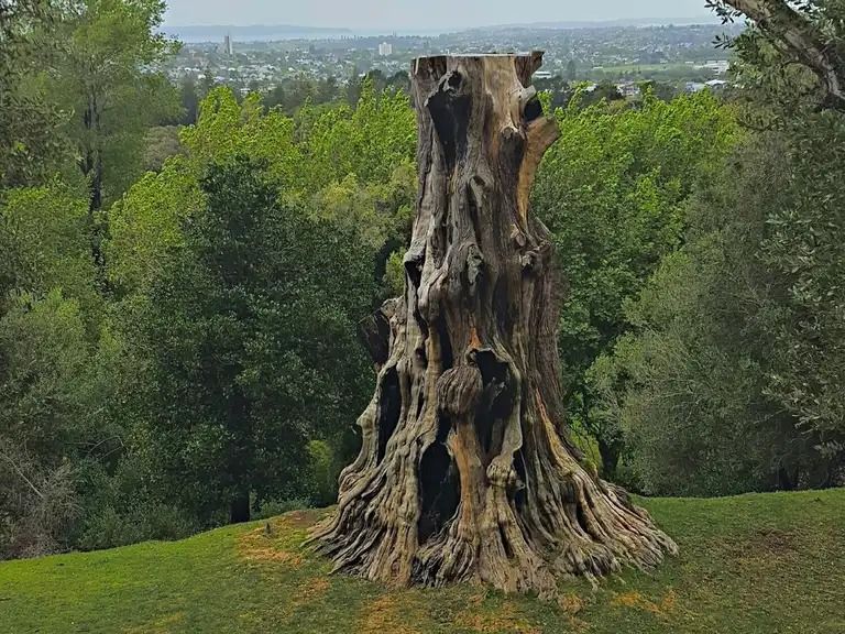 Rainbow Families meet up - Nature walk and picnic 