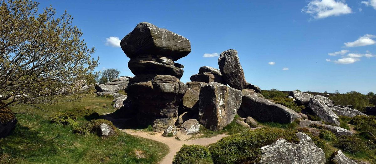 Brimham Rocks