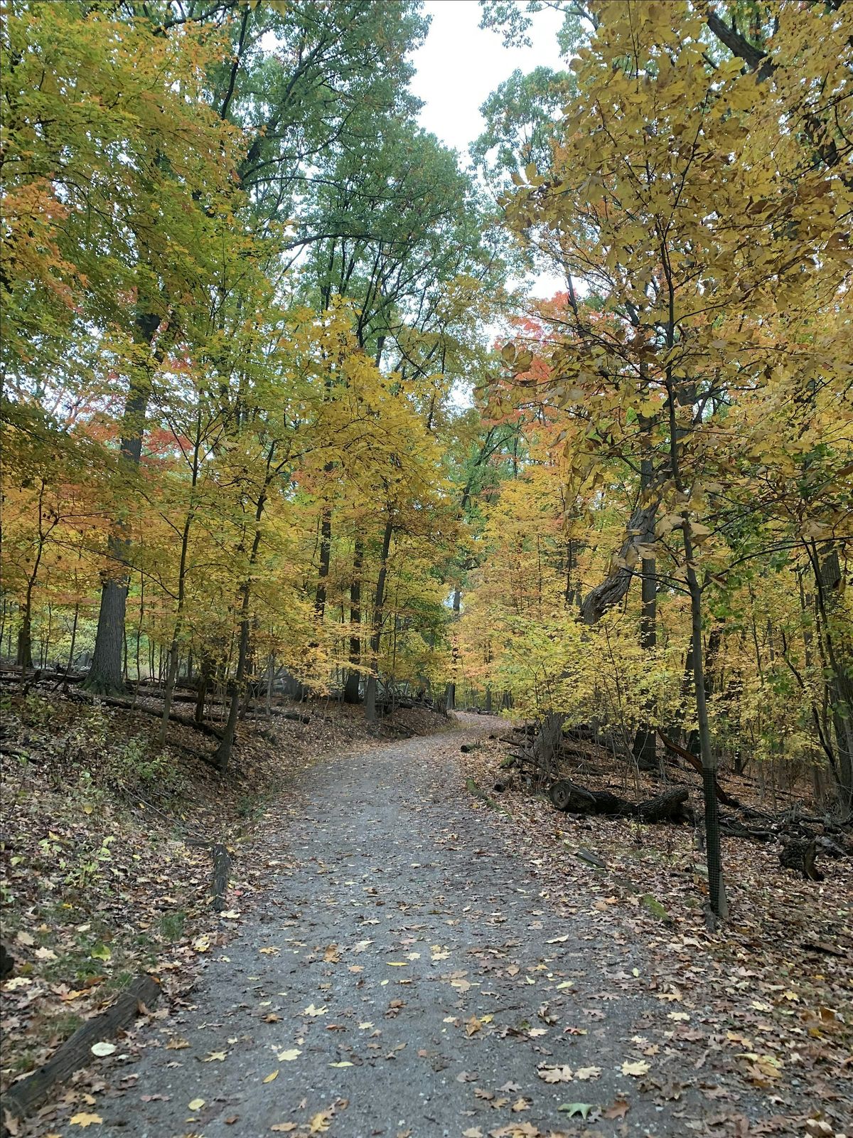 Treats & Trails