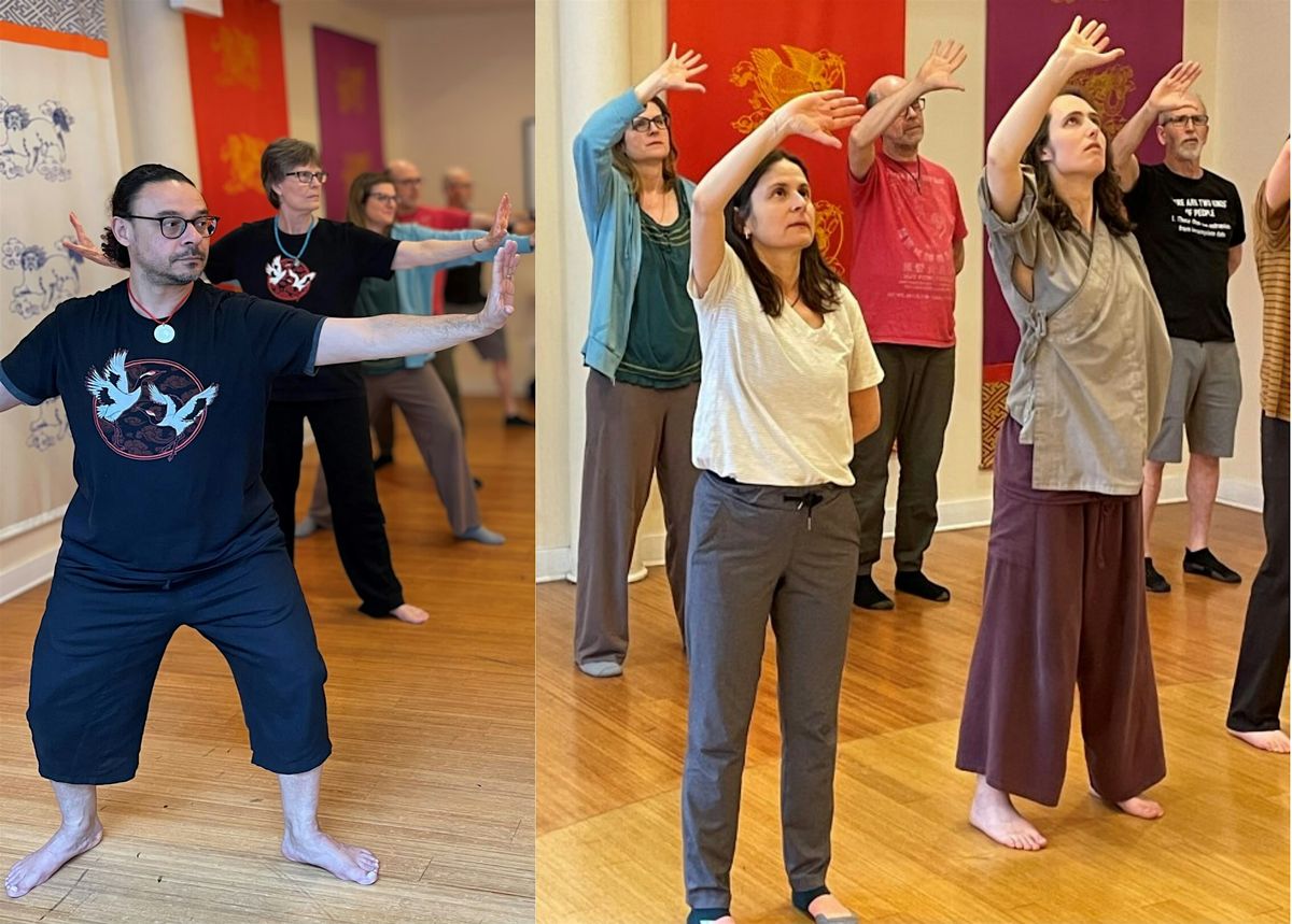 Join Us For A Qigong Level 4 Review Session!