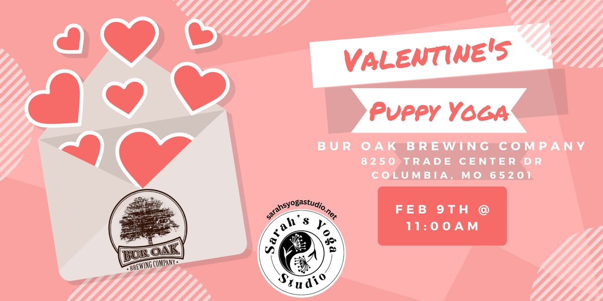 Valentine's Puppy Yoga at Bur Oak Brewing