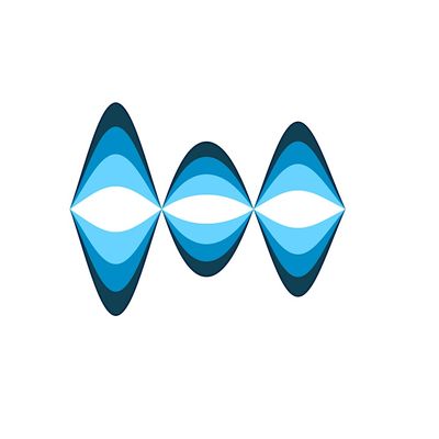 Heavy Ion Accelerators