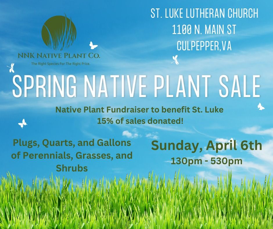 Culpeper Spring Native Plant Sale