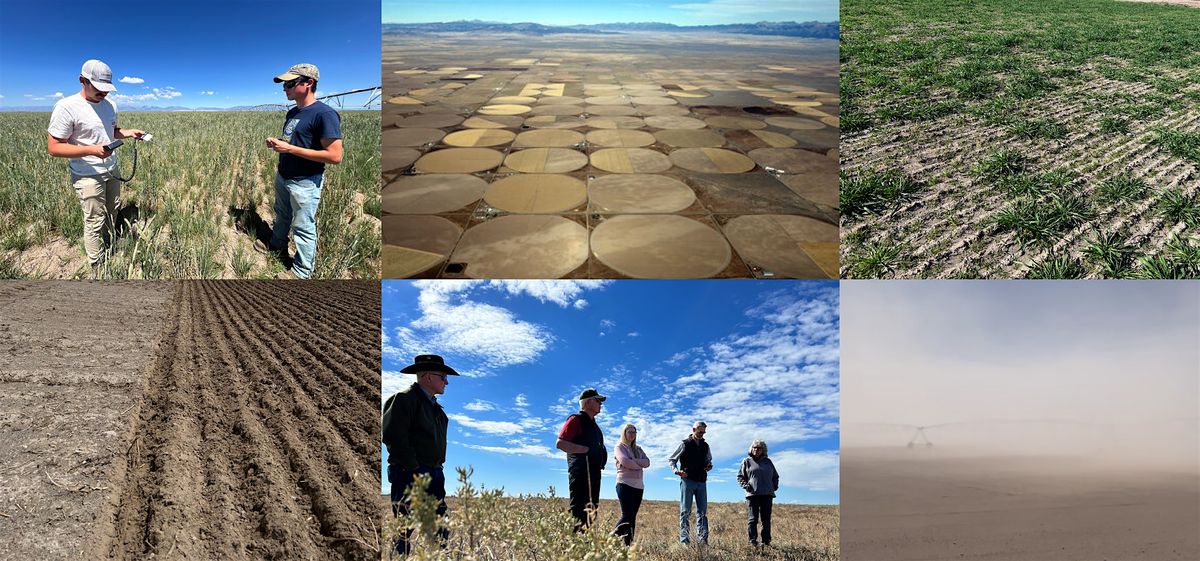 Returning Circles: Revegetation Field Tour