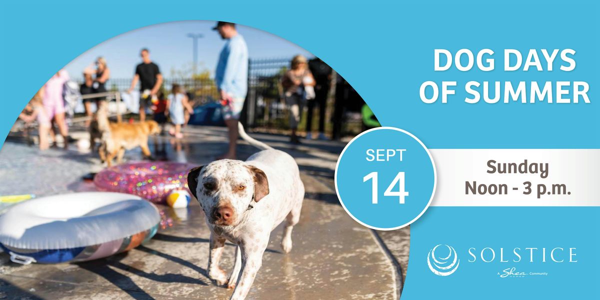 Dog Days of Summer - Pool PAWTY