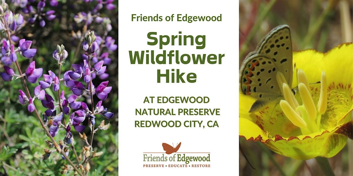 Free Spring Wildflower Hike at Edgewood Park and Natural Preserve