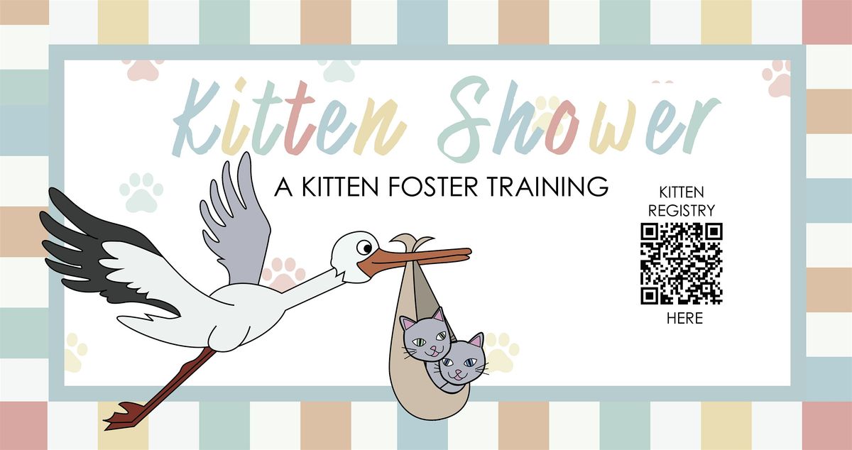 Kitten Shower: A Foster Kitten Training