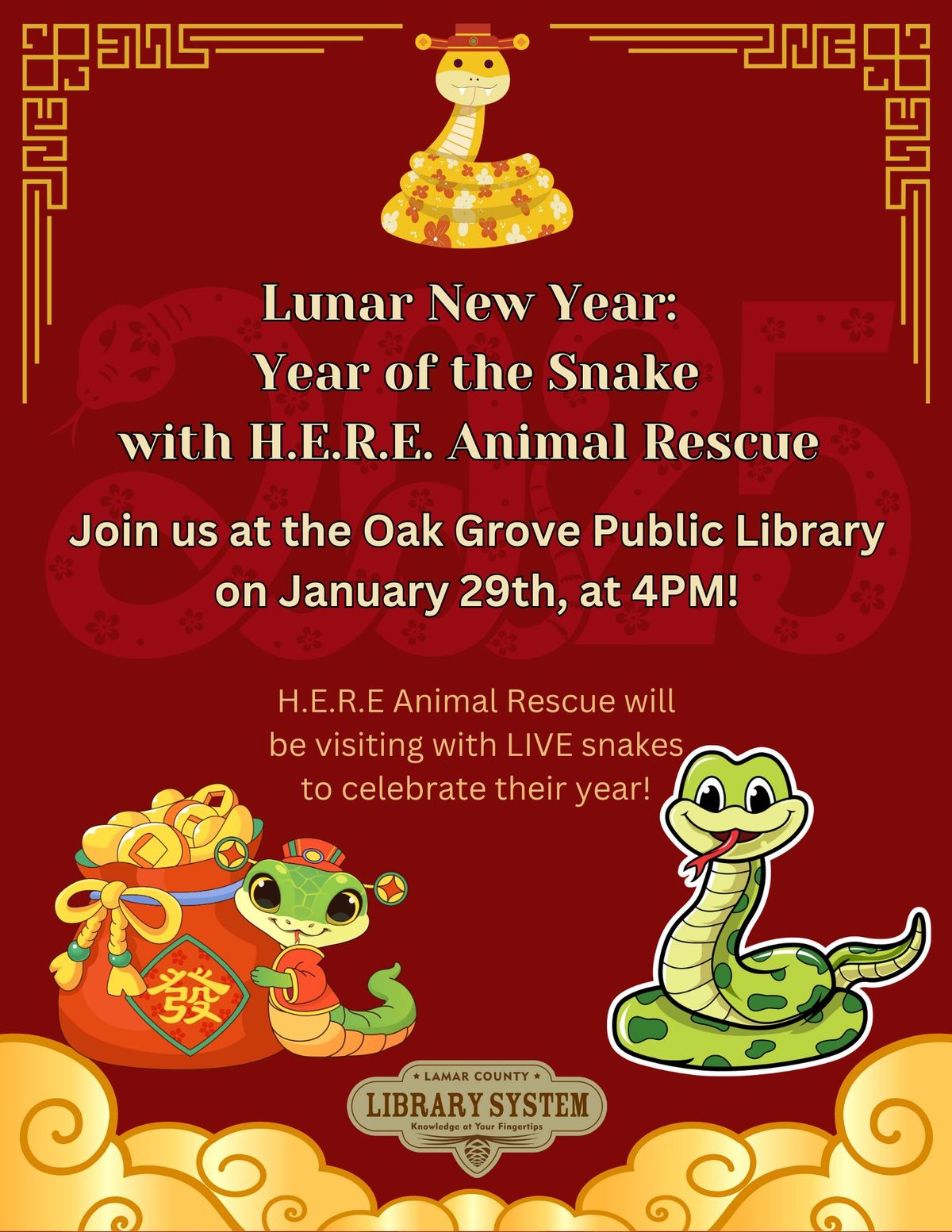 YEAR OF THE SNAKE with Snakes from HERE Rescue 