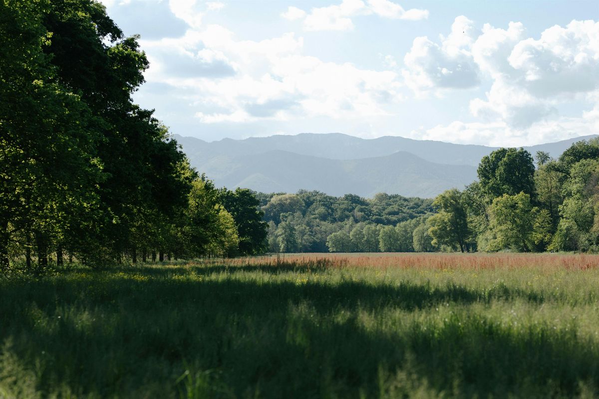 Awake in the Wild Daylong Retreat