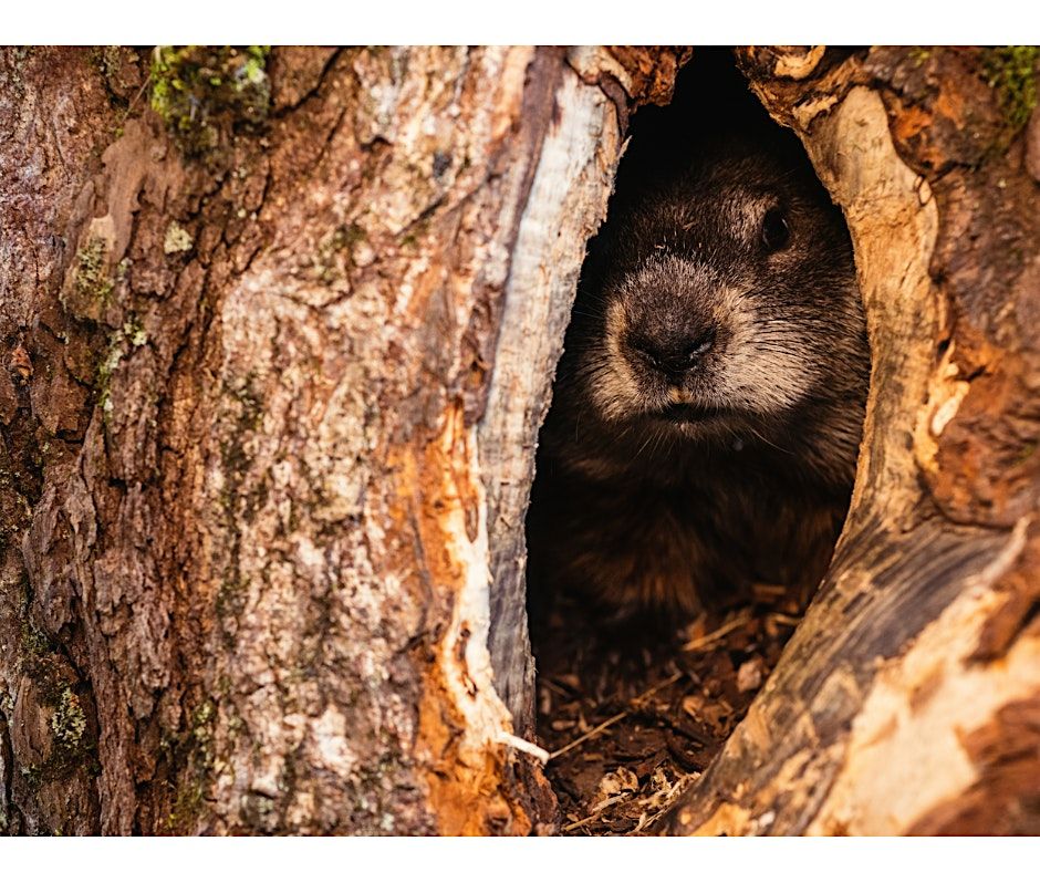 Riverview Hibernation Hike