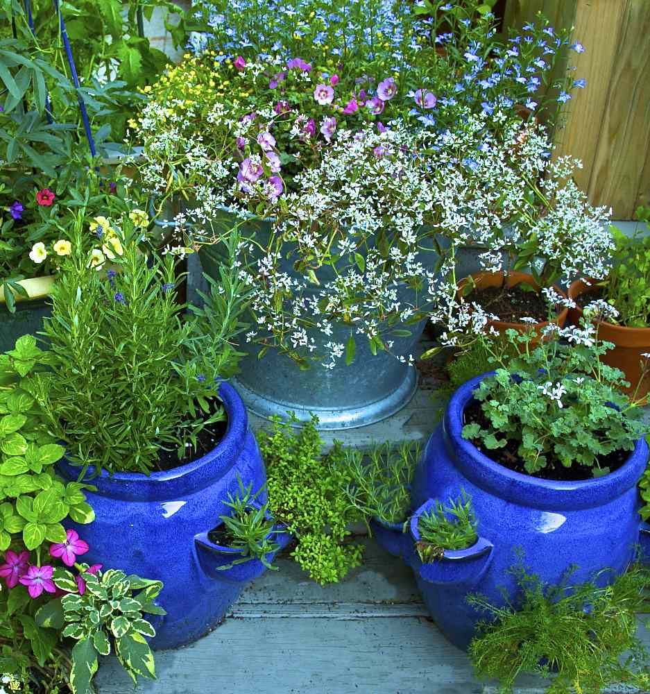 Small Pots, Small Spaces