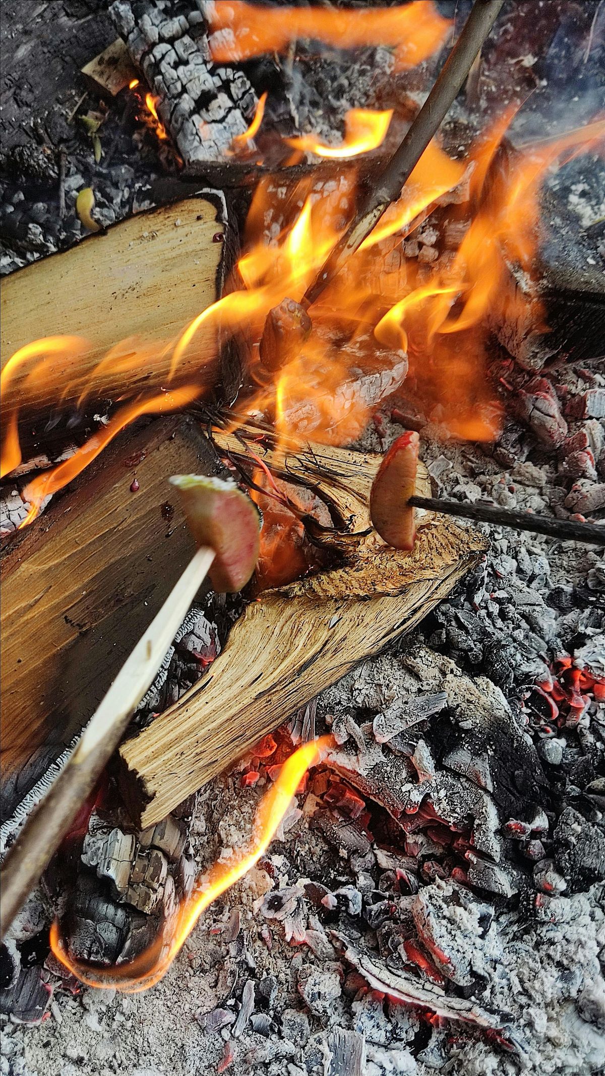 An Introduction to Fire Lighting
