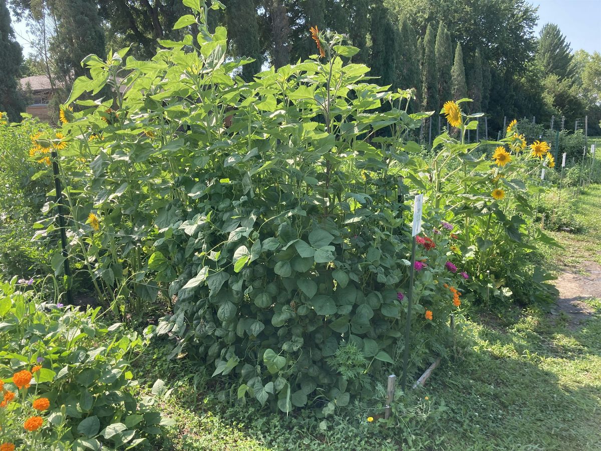 Growing Community Gardens in Lincoln