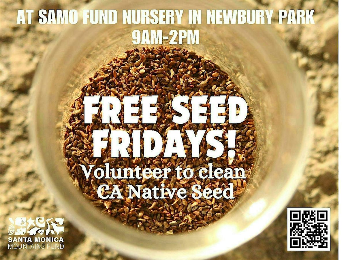 FREE SEED FRIDAYS! - California Native Seed Cleaning Volunteering