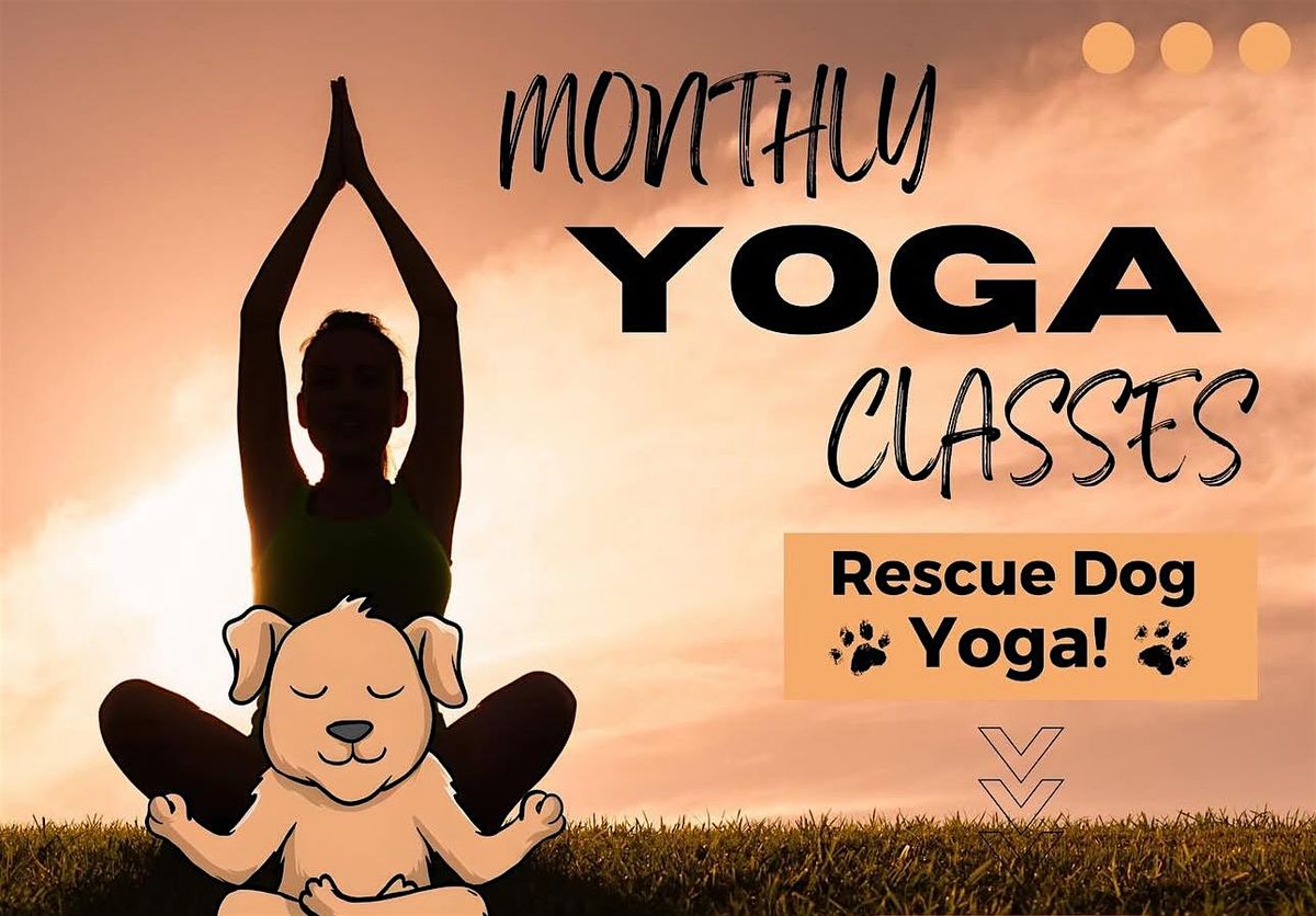 Rescue Dog Yoga at The Laundromutt (EUGENE)