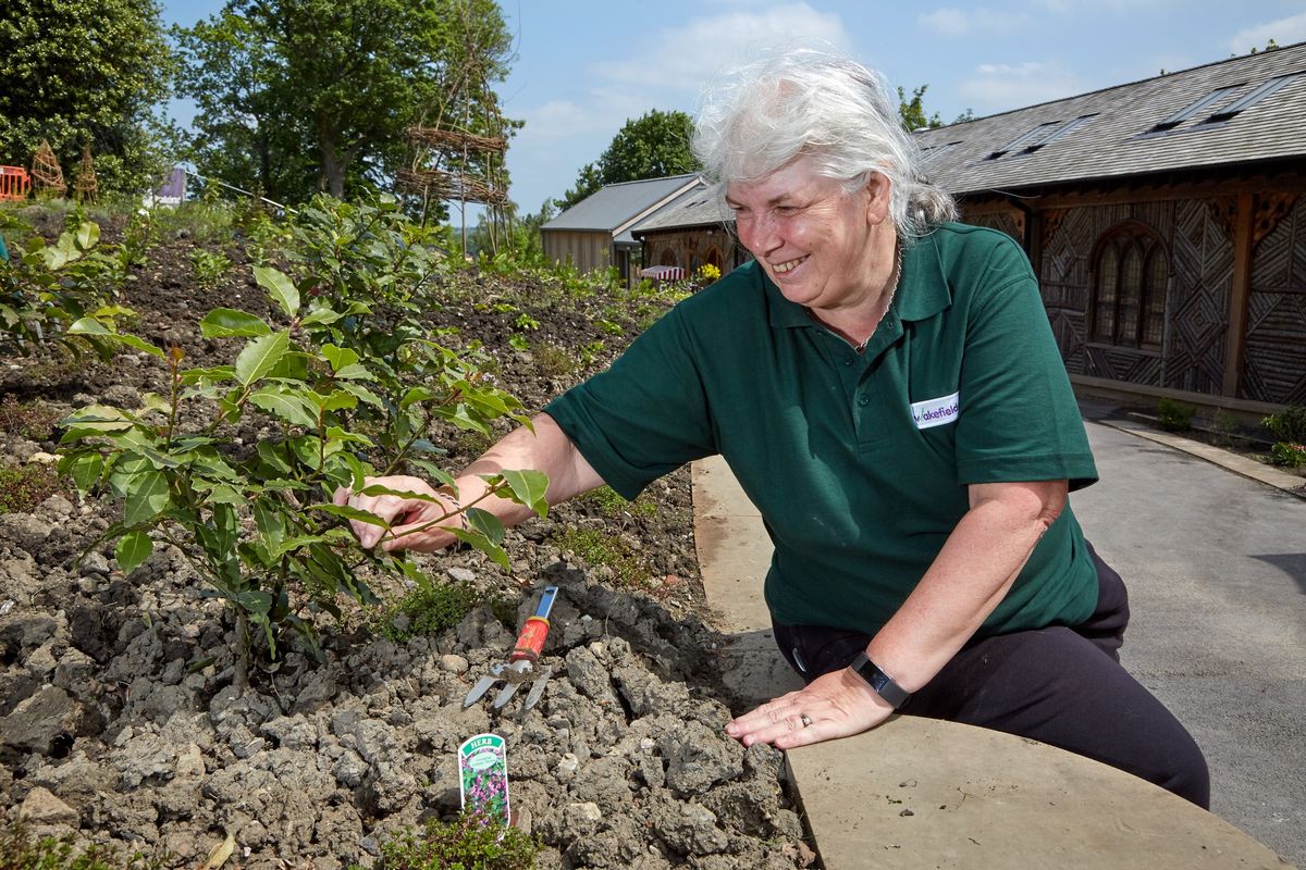 Volunteer talk: The Medieval Herb Garden (16+)