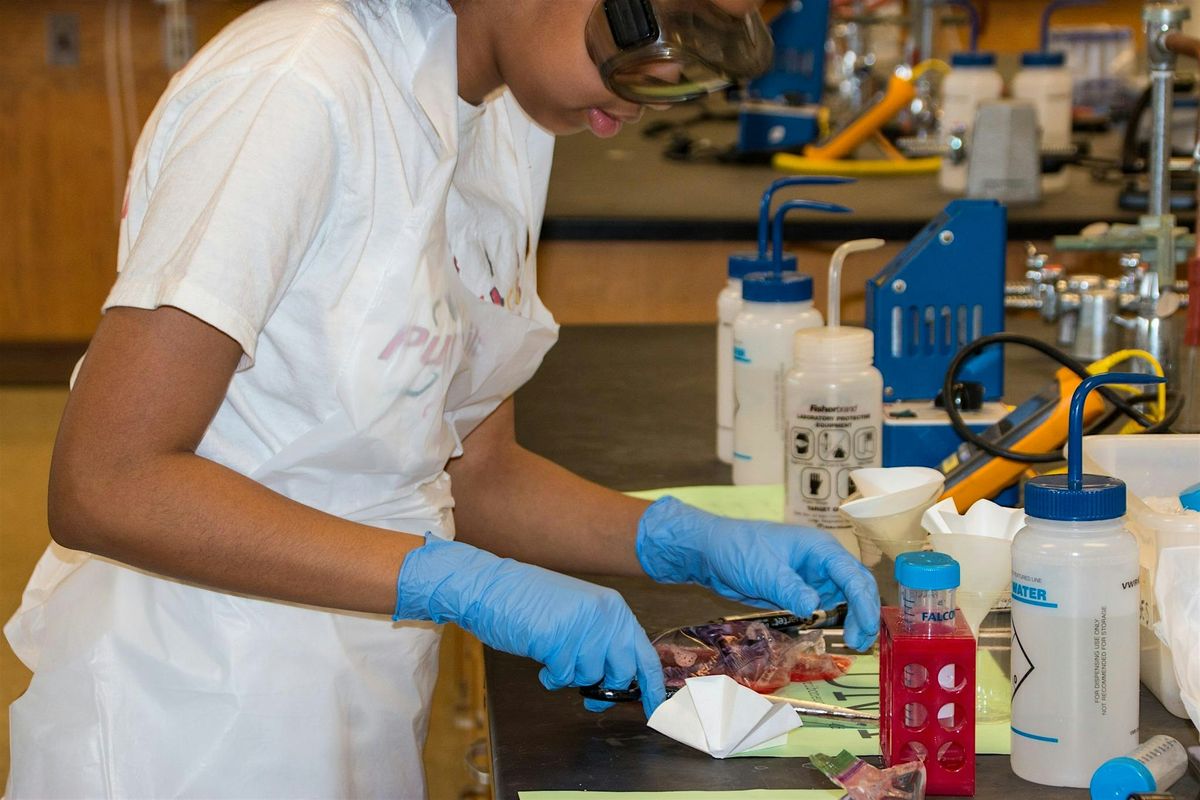 Fun and engaging STEM activity