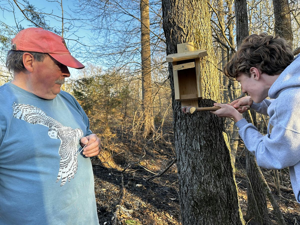 Bird Nesting Box Building Workshop