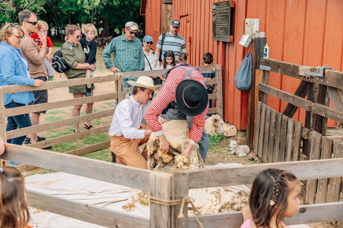 Spring Into Nash at Nash Farm